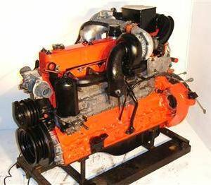 Isuzu 6SA1-T Diesel Engine 6SA1 FVR FVM FVZ