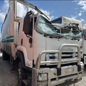 Isuzu FXR FXD 1000 V4522