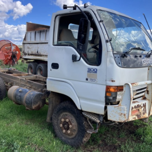 V4821 Isuzu NPS 300